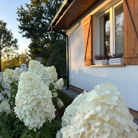 Miedzyles 68 * Miedzyles (Biala)