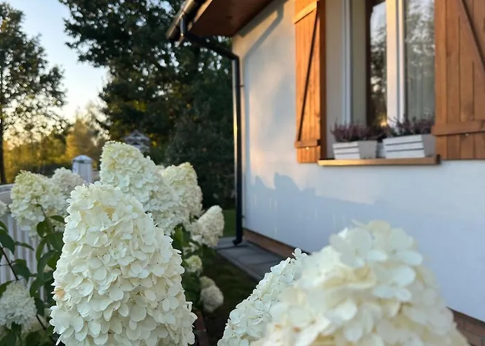 Miedzyles 68 * Miedzyles (Biala)